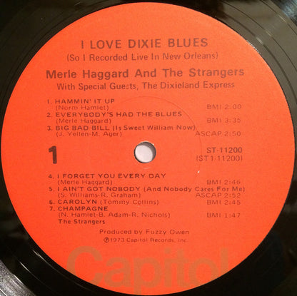 I Love Dixie Blues ... So I Recorded "Live" In New Orleans - secondary