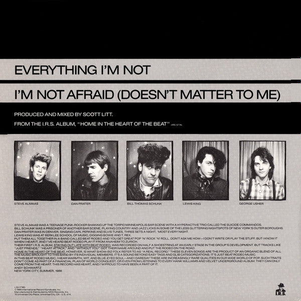 Everything I'm Not / I'm Not Afraid (Doesn't Matter To Me) - secondary