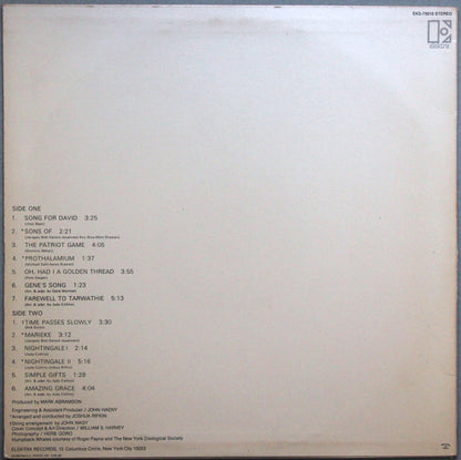 Whales And Nightingales - secondary