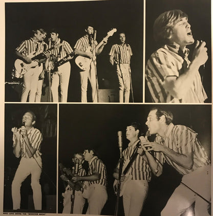 Beach Boys Concert - secondary
