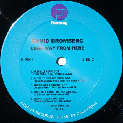 David Bromberg - Long Way From Here