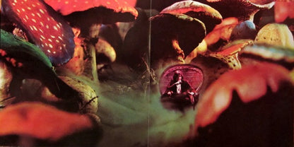 Journey To The Centre Of The Earth - secondary