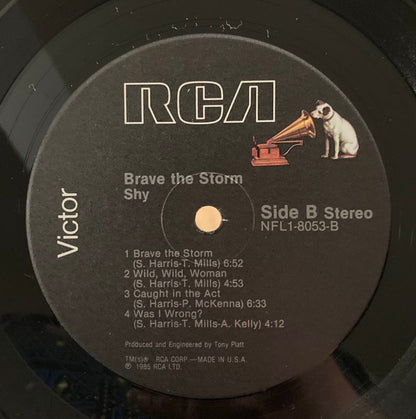 Shy - Brave The Storm
