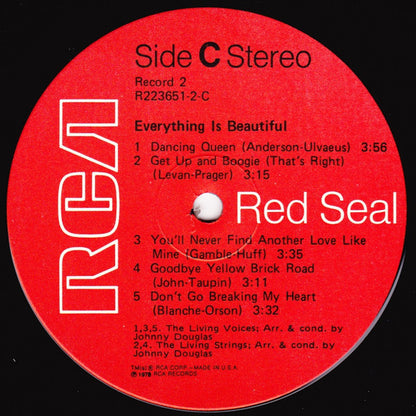 Everything Is Beautiful - secondary