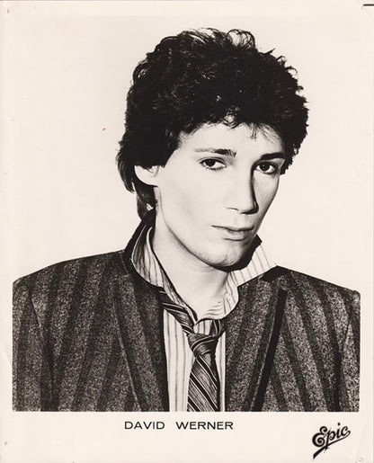 David Werner - secondary