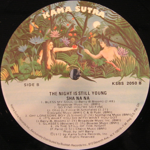 The Night Is Still Young - secondary