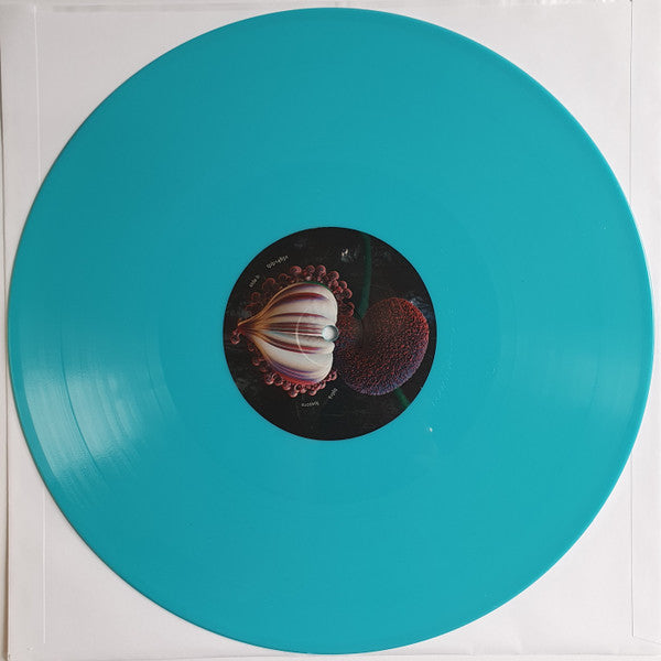Fossora - secondary