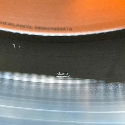 Young Shakespeare - secondary