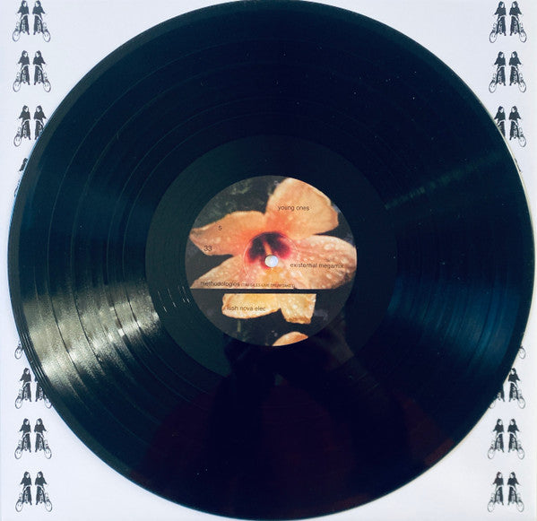 Courtesy Of Choice - secondary