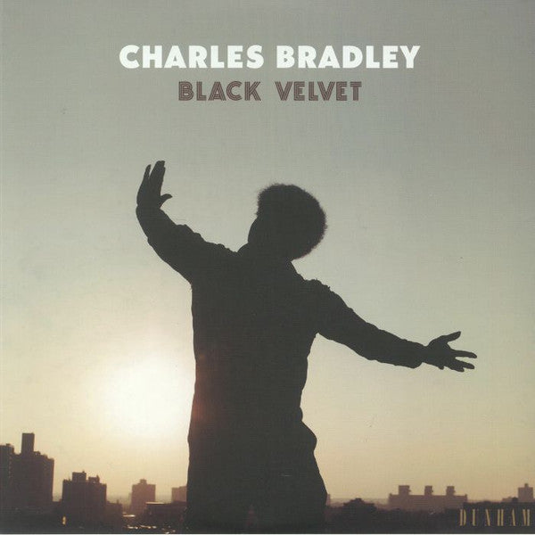 Black Velvet - primary
