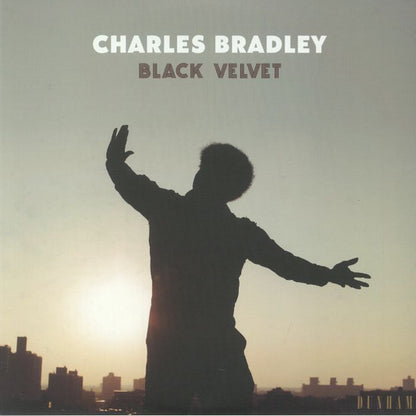 Black Velvet - primary