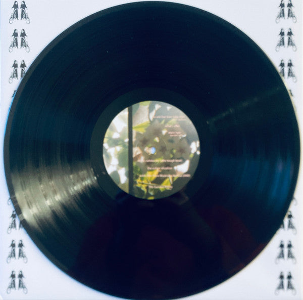 Courtesy Of Choice - secondary