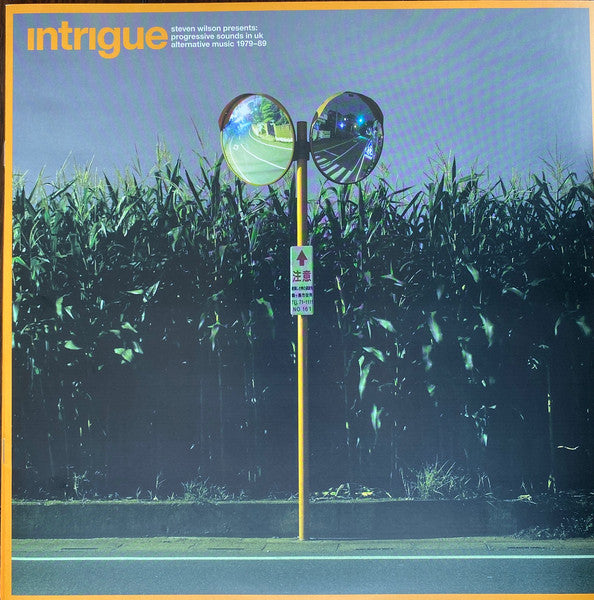 Intrigue (Steven Wilson Presents: Progressive Sounds In UK Alternative Music 1979-89) - secondary