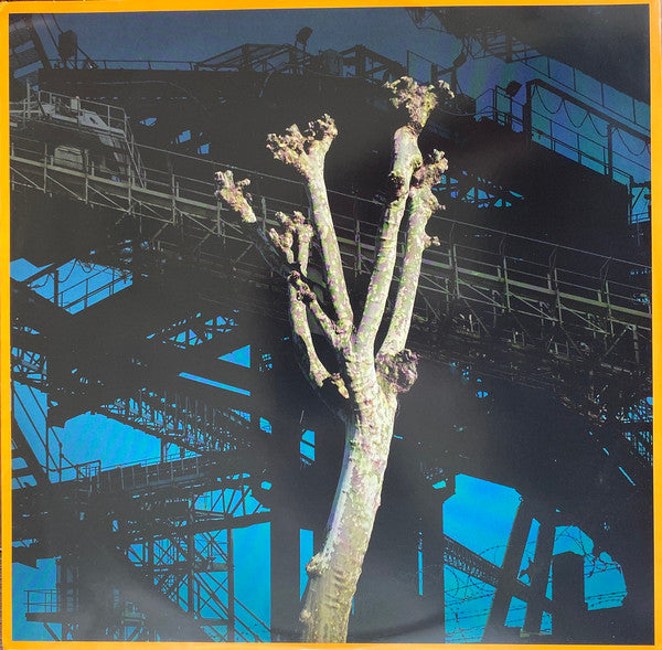 Intrigue (Steven Wilson Presents: Progressive Sounds In UK Alternative Music 1979-89) - secondary