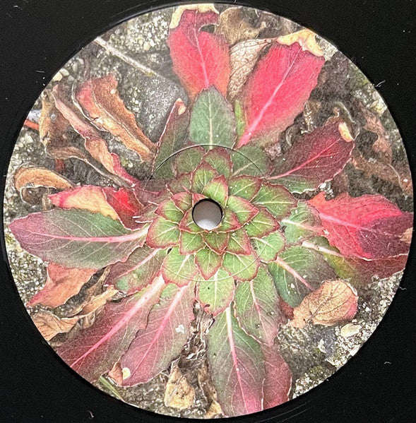 Bed Maker - secondary