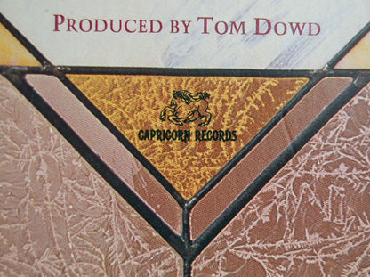 The Allman Brothers Band - Enlightened Rogues