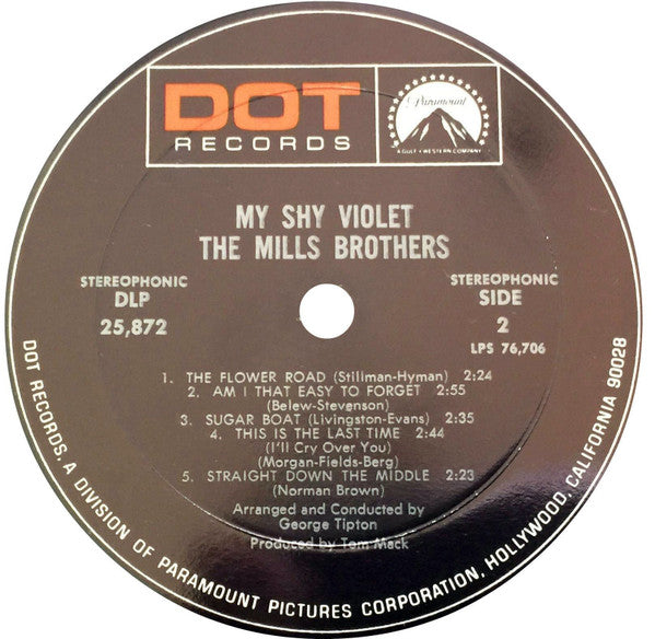 My Shy Violet - secondary