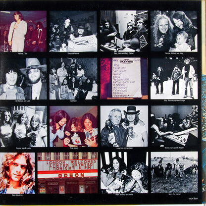 Skynyrd's First And... Last - secondary