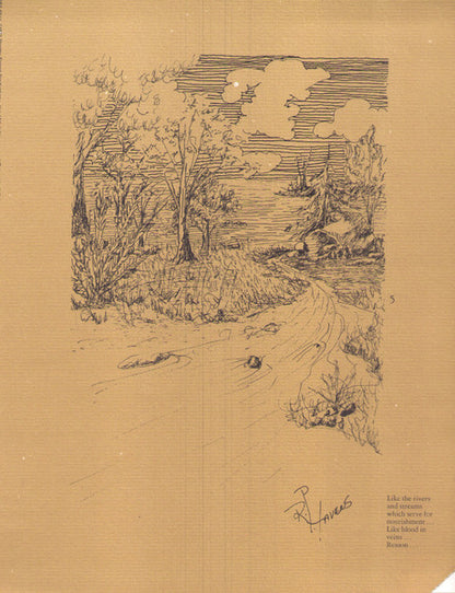 Portfolio - secondary