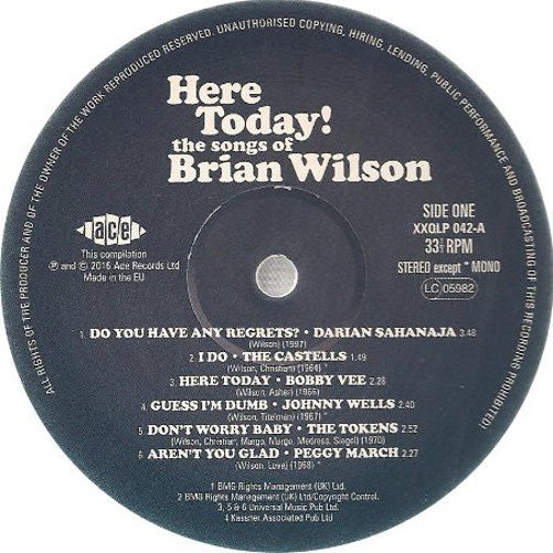 Here Today! (The Songs of Brian Wilson) - secondary