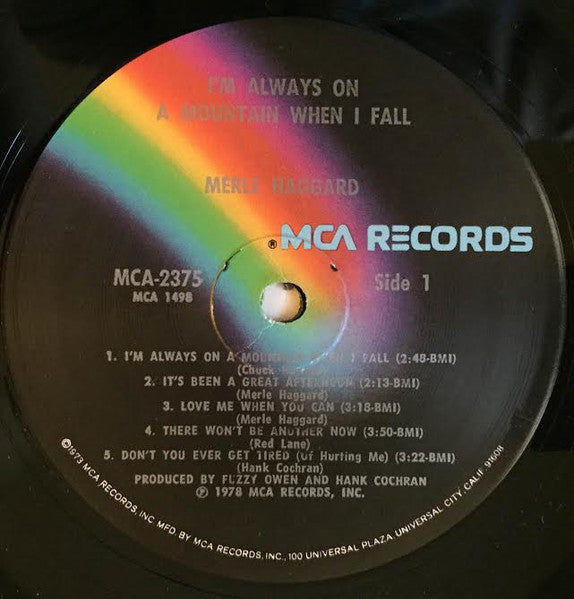 I'm Always On A Mountain When I Fall - secondary