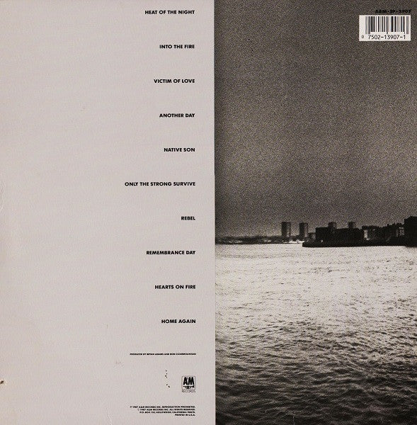 Bryan Adams - Into The Fire