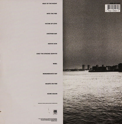 Bryan Adams - Into The Fire