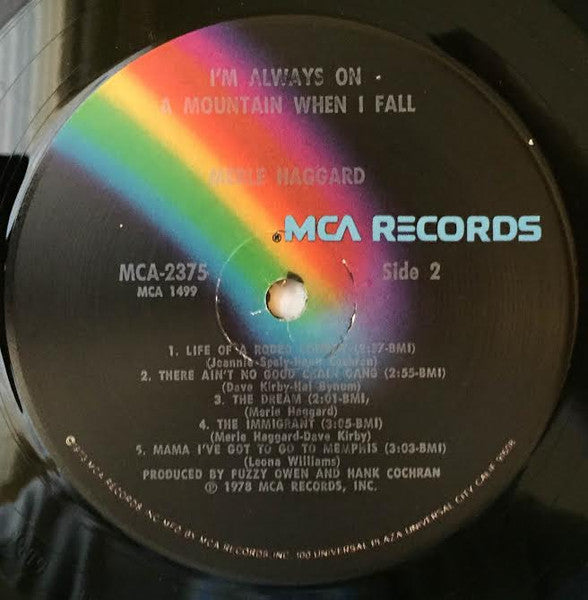 I'm Always On A Mountain When I Fall - secondary