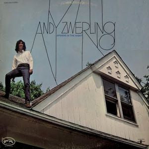 Andy Zwerling - Spiders In The Night