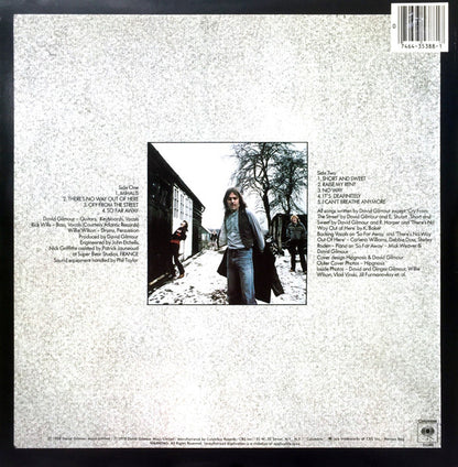 David Gilmour - David Gilmour