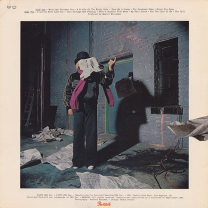Paul Williams - A Little On The Windy Side
