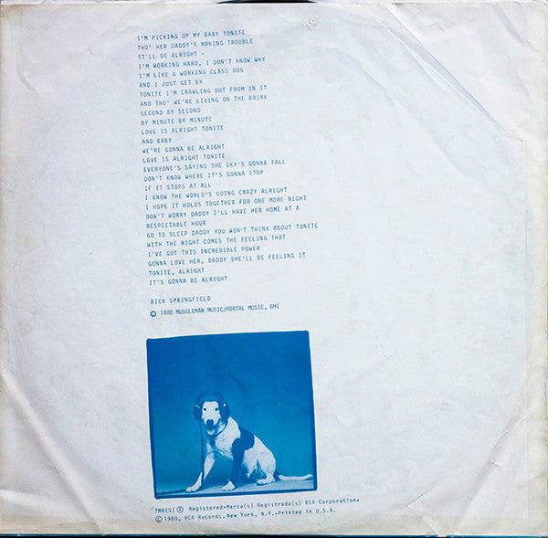 Working Class Dog - secondary