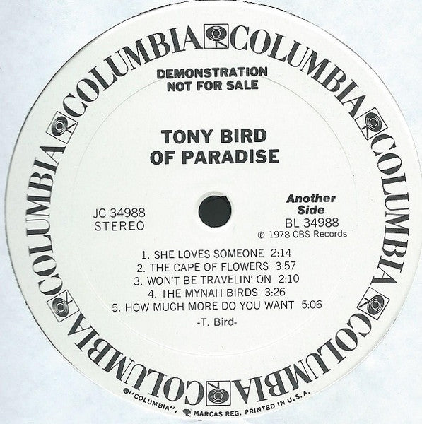 Bird Of Paradise - secondary