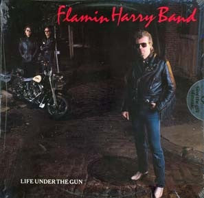 Life Under The Gun - primary