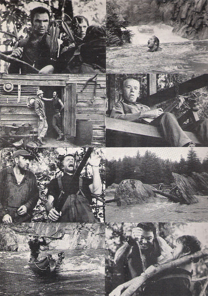 Eric Weissberg, Steve Mandell - Dueling Banjos From The Original Motion Picture Soundtrack Deliverance And Additional Music