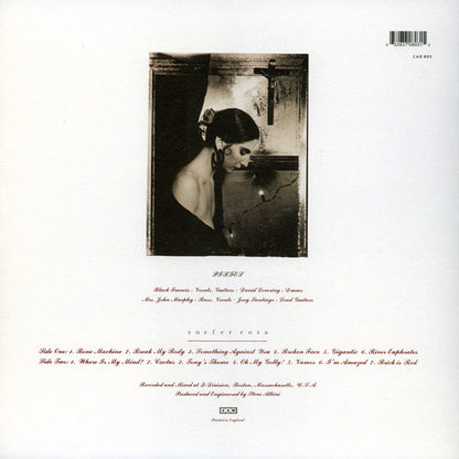 Surfer Rosa - secondary