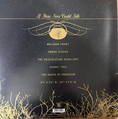If These Trees Could Talk - secondary