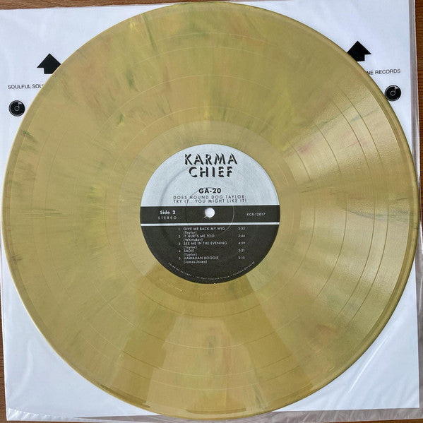 GA-20 Does Hound Dog Taylor: Try It...You Might Like It! - secondary