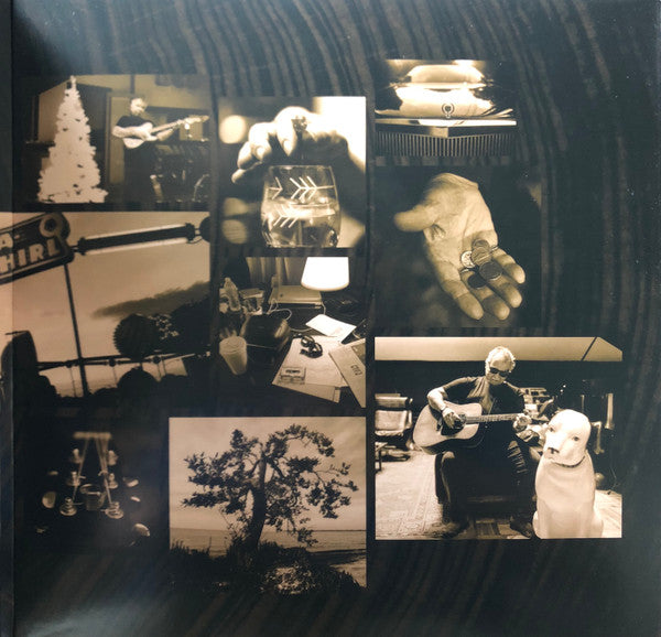 The Tree Of Forgiveness - secondary