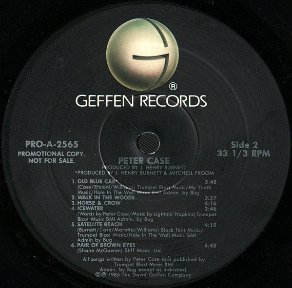 Peter Case - secondary