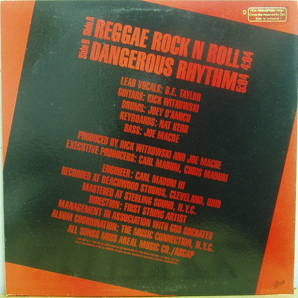 Reggae Rock N Roll / Dangerous Rhythm - secondary