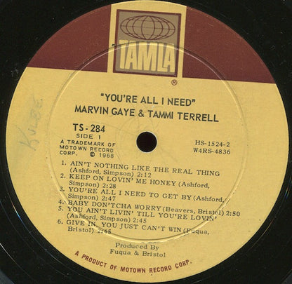 Marvin Gaye, Tammi Terrell - You're All I Need