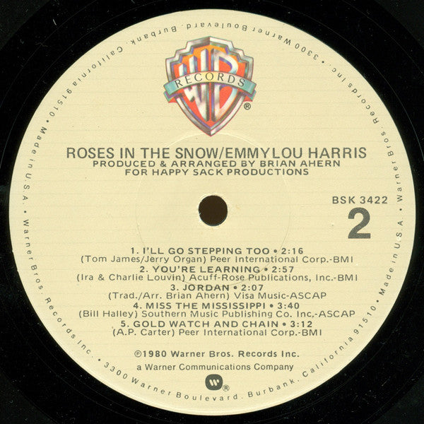 Roses In The Snow - secondary