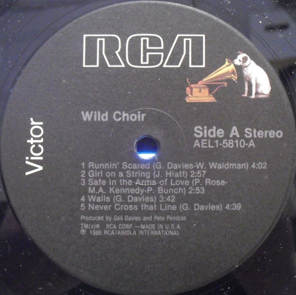Wild Choir - Wild Choir
