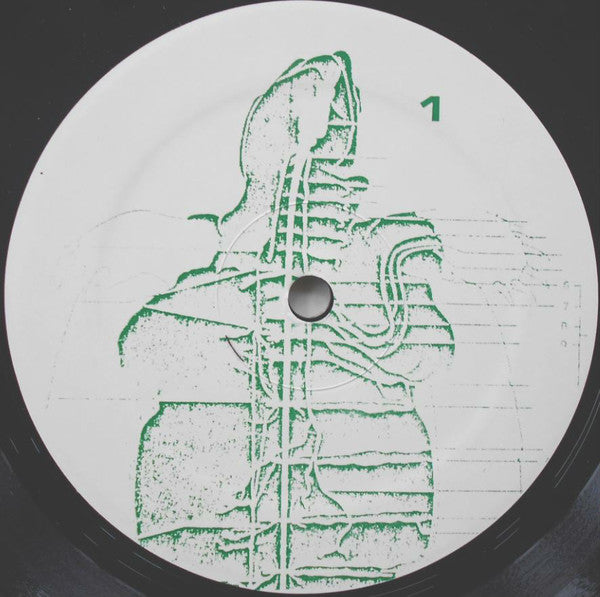 Tortoise - secondary