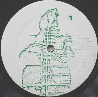 Tortoise - secondary