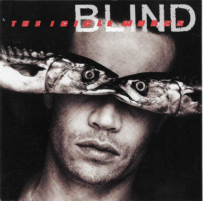 The Icicle Works - Blind
