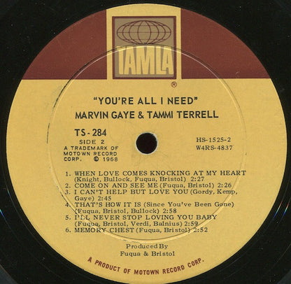 Marvin Gaye, Tammi Terrell - You're All I Need