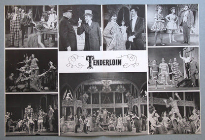 Jerry Bock, Sheldon Harnick, Various - Tenderloin - A New Musical Comedy (Original Broadway Cast Album)
