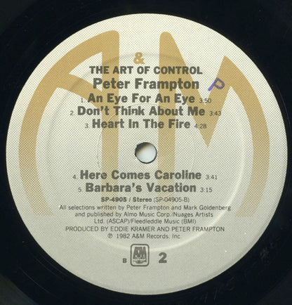 The Art Of Control - secondary
